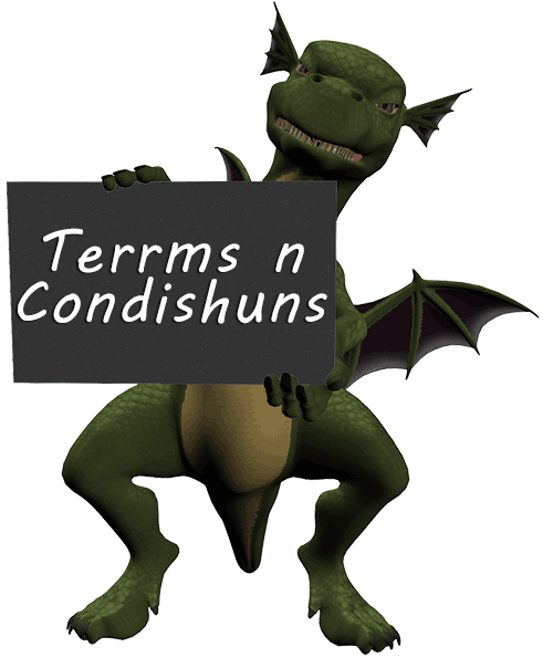 terms 2dragons